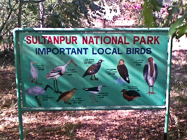 Sultanpur National Park